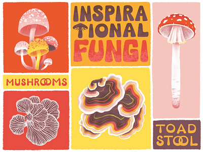 Fungi 70s 70s colors 70s typography fungi fungus illustration inspired by nature lettering mushroom mushrooms procreate toadstool