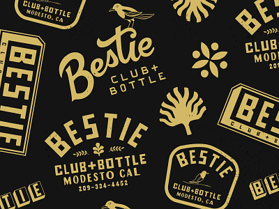 Bestie Bottle + Club Graphix branding design graphic design graphicdesign handlettering identity illustration lettering logo typography vector vectorart