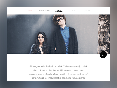 Mestrini Eyewear Website