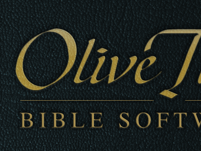 BibleReader 5 Splash Screen bible bible software ios ipad iphone photoshop texture