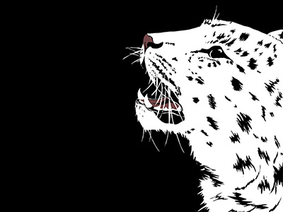 Snow Leopard animal animals cat cats digital art graphic leopard monochromatic nature snow leopard wildlife
