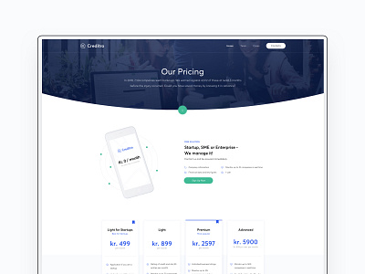 Pricing - Creditro bank banking clean credit design features finance financial interface minimal pricing pricing table ui ux web design