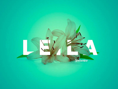 Floral Typography floral typography