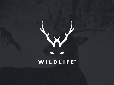 Wildlife