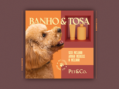 Banho&Tosa // Pet&Co. 3d blender design dog pet pet care petshop socialmedia