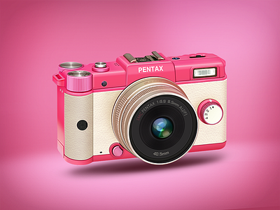 PinkCamera camera icon