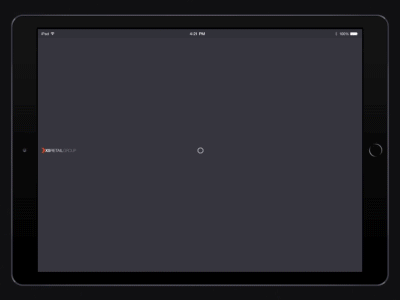 X5 Retail Group dashboard animation