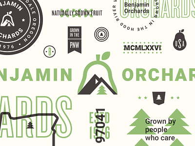 Benjamin Orchards Extras badge brand farm fresh icon lockup logo mountain orchard organic pear tree