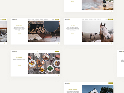 Zikmundov Website — Homepage