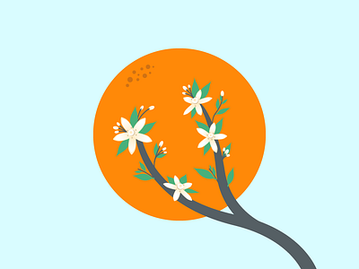 Orange Blossom blossom fruit illustration leaf orange orange blossom