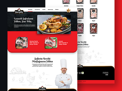 Star Pilic Web Page design illustration interface ui web webdesign website