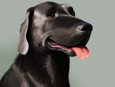 Dog animal cartoon color design digital dog illustration photoshop