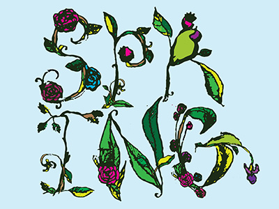 Spring color flowers hand drawn hand lettering sketch spring typography
