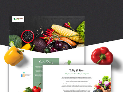 Landcraft Agro app branding creativity design designs food illustration illustrations mobile organic organic food responsive design ui ux vegetable website design wordpress design