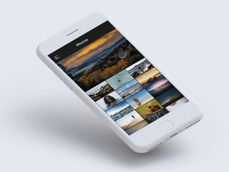 Photo Gallery Animation animation design gallery gif mobile photo ui ux