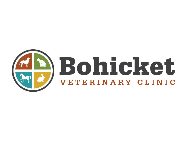 Bohicket Logo slab animals pets veterinary clinic veterinarian branding logo design logo
