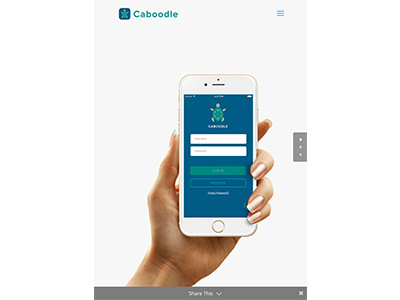 Caboodle App landing page mobile app responsive