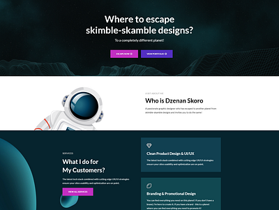 Dzenan Skoro - Personal Website Design design typography ui ux uxdesign vector web design webdesign website website design