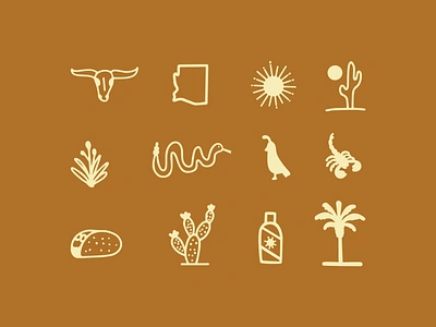 Arizona Icons arizona cactus desert hand drawn icon illustration line drawing object procreate quail simple southwest sunscreen taco vector