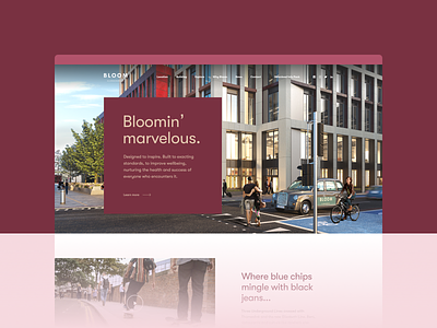 Bloom Clerkenwell design development ui user interface ux web web design webdesign website