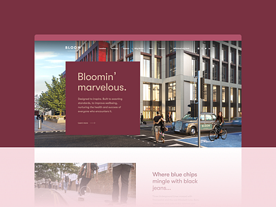 Bloom Clerkenwell