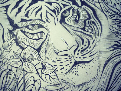 Tyger tyger hand drawn illustration pencil scarf sketch tiger