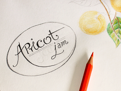 Jam Labels - Sketch phase - Apricot illustration labels type