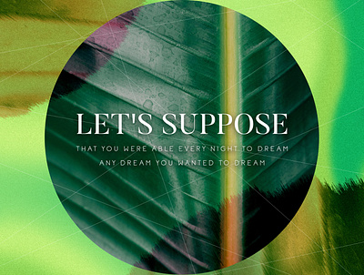 Let's suppose distort forest forests gradient gradient design gradients green jungle leaf leaves nature noise photoshop poster quote tree