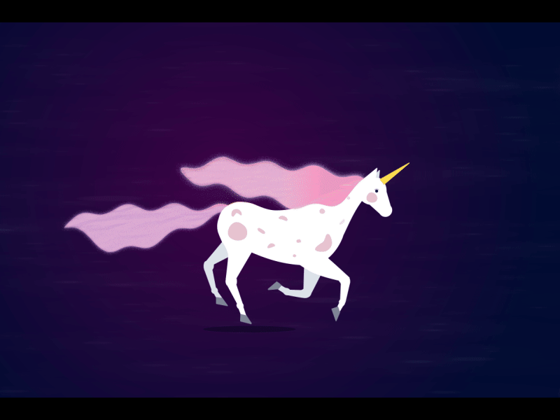 Wonder Unicorn animation horse. motion design run cycle