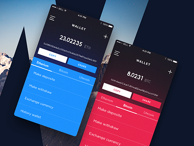 Cryptocurrency Wallet