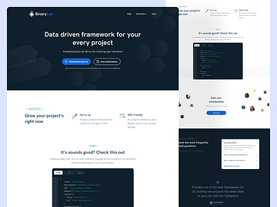 BinaryLab - JS Framework Landing Page clean design design design for dev framework framework landing page js js design js framework landing page responsive ui ui design ux webdesign webdevelopment website