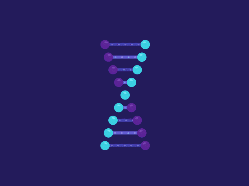DNA Animation aftereffects animation animation 2d design dna drawing graphic design illustration illustrator motion graphics