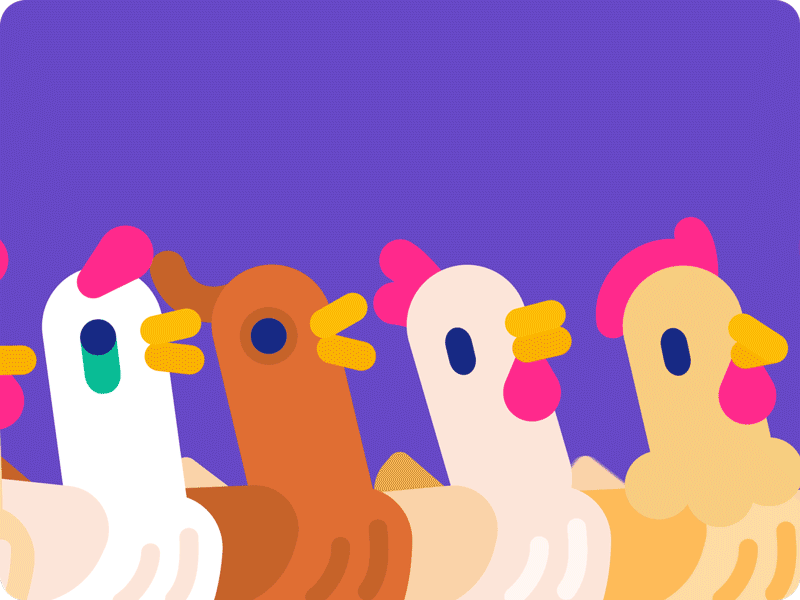 小鸡小鸡小鸡小鸡小鸡小鸡小鸡小鸡 咕咕day animation chickens illustrator motion 小鸡