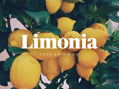 Limonia branding eats food fresh good lemons logo