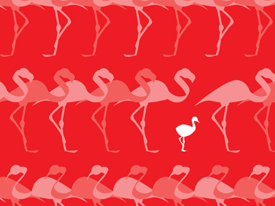 Flamingos