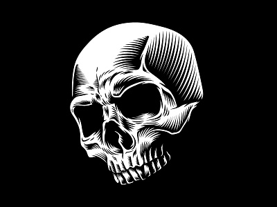 Skull illustration music skull vector