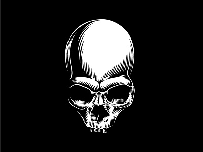 Skull illustration edm. illustration music skull vector