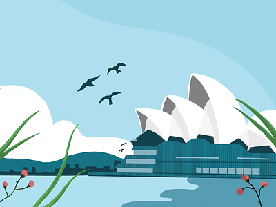 Opera house australia birds city opera sydney