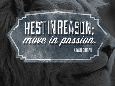 Move in Passion blue lion passion quote type typography