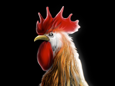 Rooster chicken illustration photoshop rooster