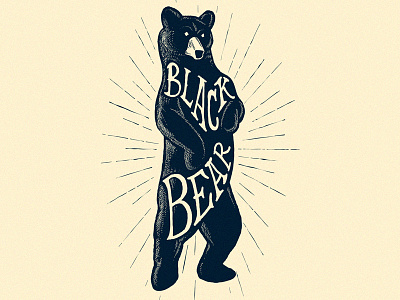 Black Bear bear black black bear hand lettering llustration t shirt typography
