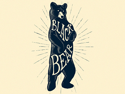 Black Bear