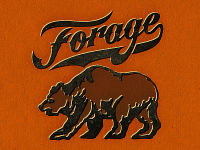 Forage bear forage illustration lettering typography vintage