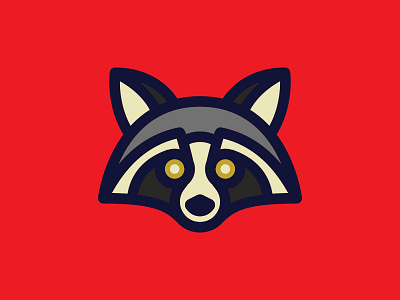 Raccoon