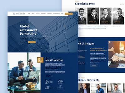 MONDRIAN design designs finance goverment homepage homepage design investment landingpage law layout minimal modern onepage ui ux web webdesign webpage website wireframe