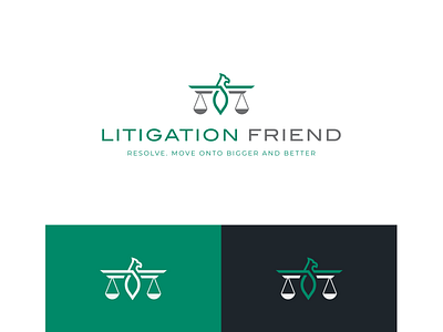 Litigation Friend