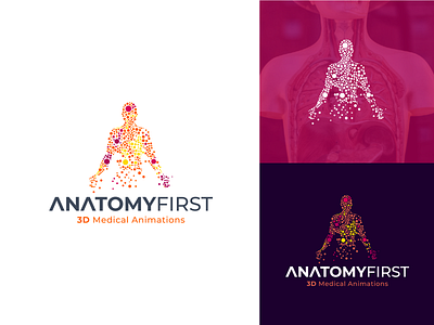 Anatomy First 3d logo animations body branding bubble tea colors deisgn human identity logo logo design logo design branding logodesign logotype mark medical medical logo minimal modern typography