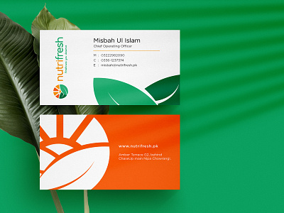 Nutrifresh Business Cards branding business card design businesscard colors design illustration illustrator logo design logos minimal modern typography vector