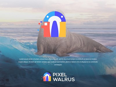 Pixel Walrus branding colors design illustrator logo logo design logodesign logos logotype minimal modern vector