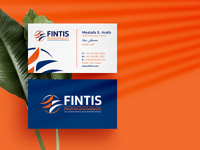 Fintis Business Card Design branding business business card business card design business cards businesscard colors design illustration logo minimal modern vector